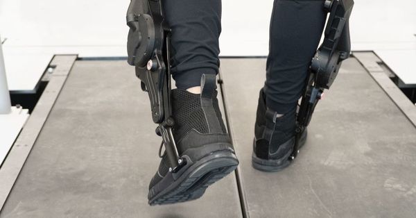 Thumb ticker md 22 exoskelett 1